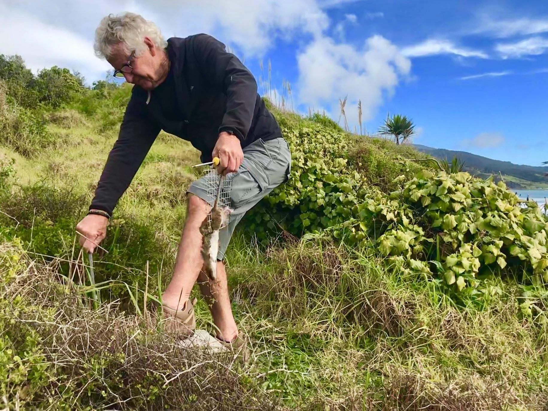 Meet a volunteer, Dave Currie