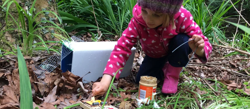 image-asset (2).jpeg