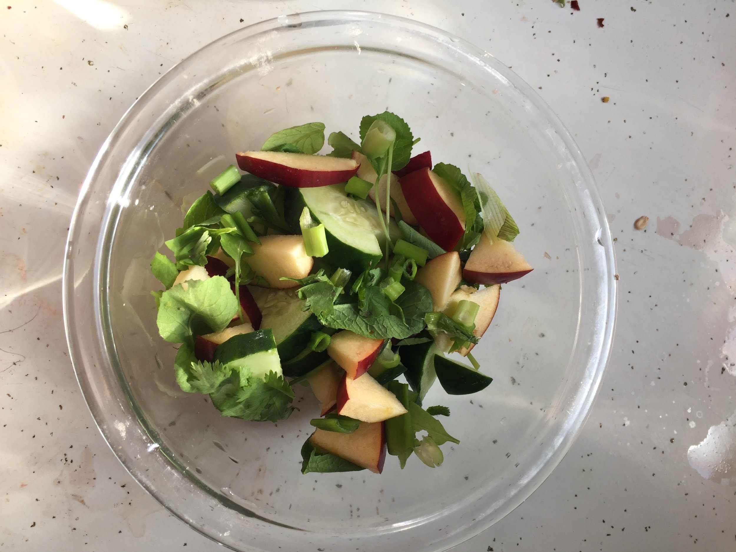 IngredientsSm - medium appleRadish greens (medium bunch) cleaned.5 scallions&nbsp;Cilantro&nbsp;Medium cucumberVinnagrette ( of your choosing) - I used raspberry vinaigrette with apple cider vinegar&nbsp; &nbsp; &nbsp; &nbsp; &nbsp; &nbsp; &nbsp; &n…