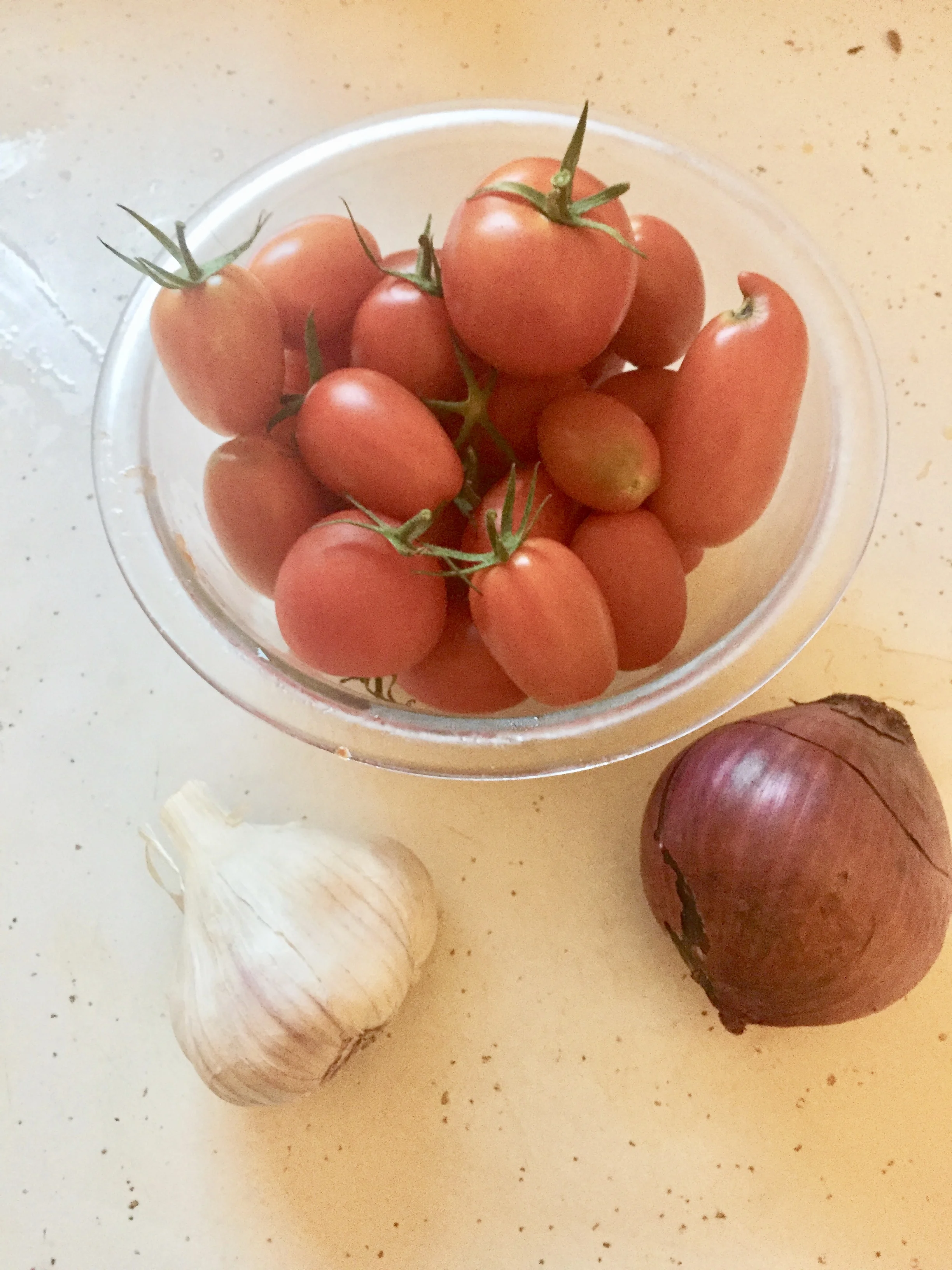 IngredientsSm- medium onion3-5 garlic cloves, dicedhandful of fresh basiltomatoes (I used a mixture of grape and beefsteak tomatoes from my garden) - two cups dicedolive oilwine for deglazing ( I used red wine vinegar because I didn't have wine, but…
