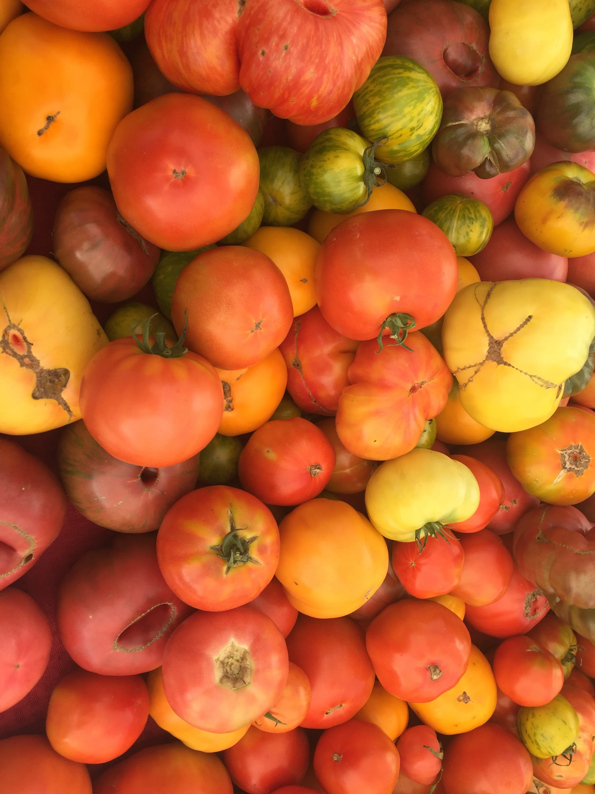 &nbsp; &nbsp; &nbsp; &nbsp; &nbsp; &nbsp; &nbsp; &nbsp; &nbsp; &nbsp; &nbsp; &nbsp; &nbsp; &nbsp; &nbsp; &nbsp; &nbsp; &nbsp; &nbsp; &nbsp; &nbsp; &nbsp; &nbsp; &nbsp; &nbsp; &nbsp; &nbsp; &nbsp; &nbsp; &nbsp; &nbsp; &nbsp; &nbsp; &nbsp; &nbsp; &nbs…