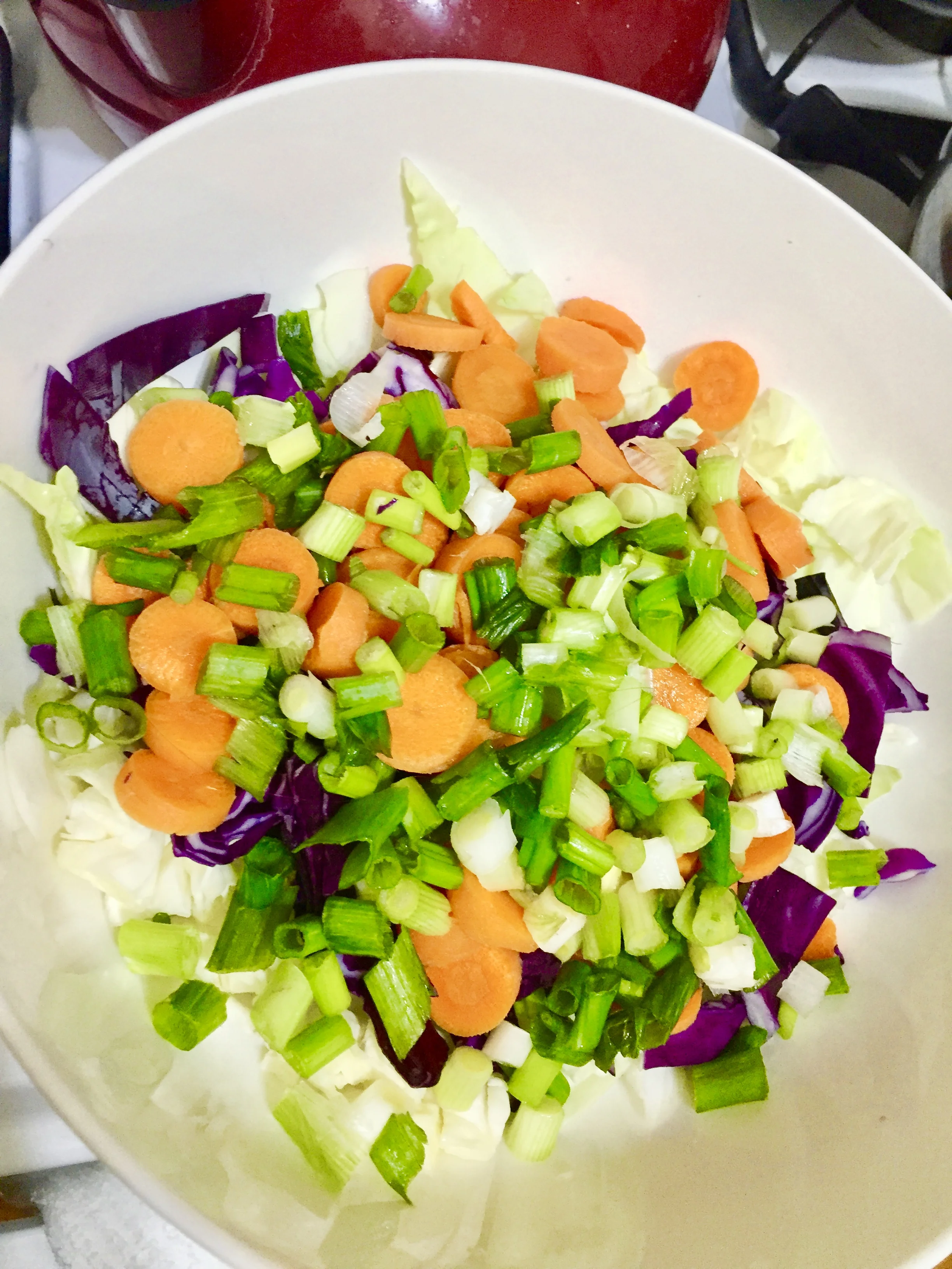 Add the cooled noodles to the vegetables and then add the shrimp. Add the sauce and mix throughly. Serve cold with cilantro sprinkled over the top and a slice of lime.