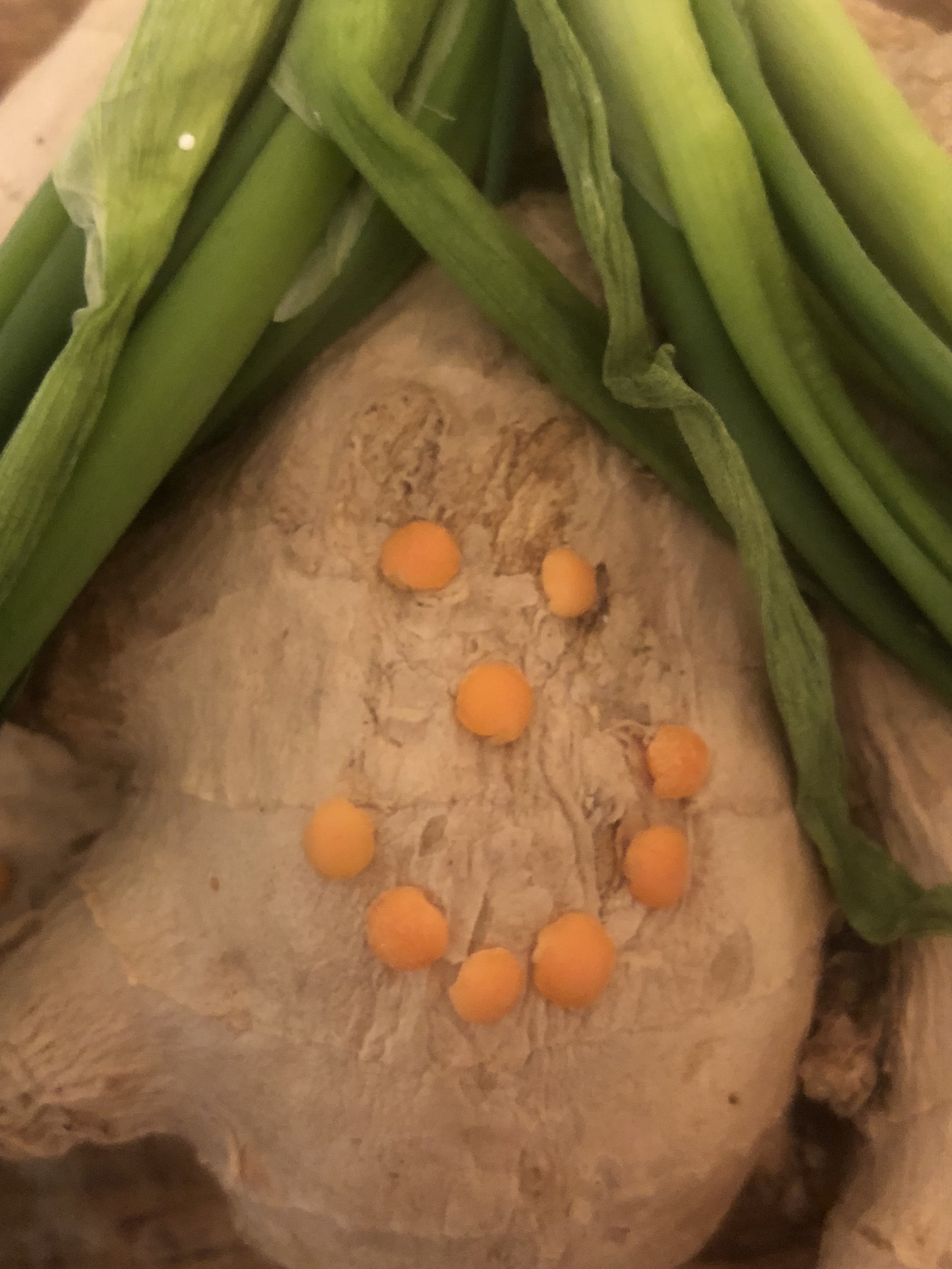 I don't what this says about me, but after I took this lentil smile face photo, I could honestly hear my friend Bernie Spirk asking if the curtains match the drapes....of course would, if this was hair and not scallions....Of course I didn't actuall…