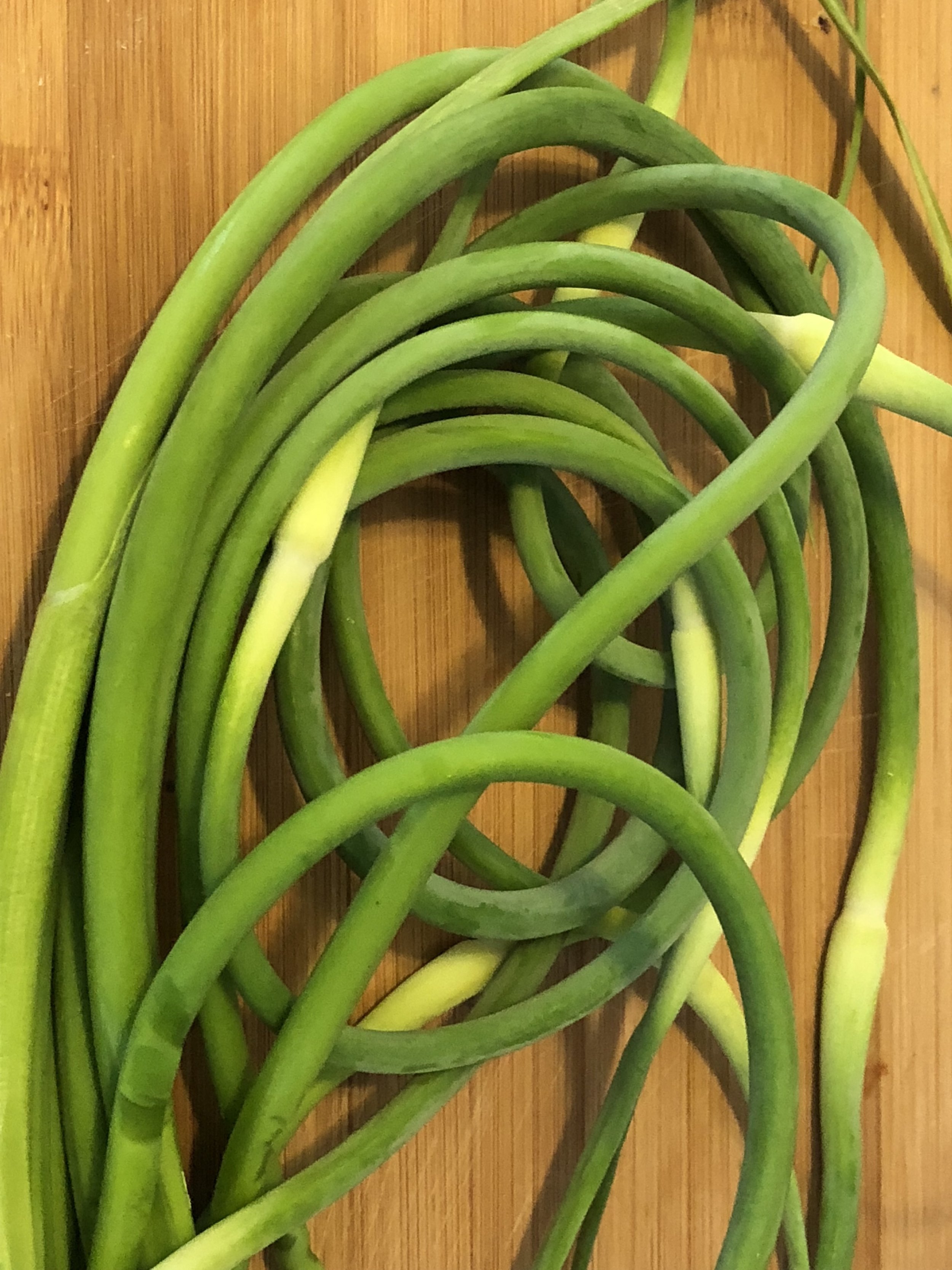 IngredientsBunch of Garlic Scapes (9-11)2.5 cups of flourtsp of salttsp of ground peppercup of ricotta0.5 cup of finely rated parmesan2 eggs &nbsp; &nbsp; &nbsp; &nbsp; &nbsp; &nbsp; &nbsp; &nbsp; &nbsp; &nbsp; &nbsp; &nbsp; &nbsp; &nbsp; &nbsp; &nb…