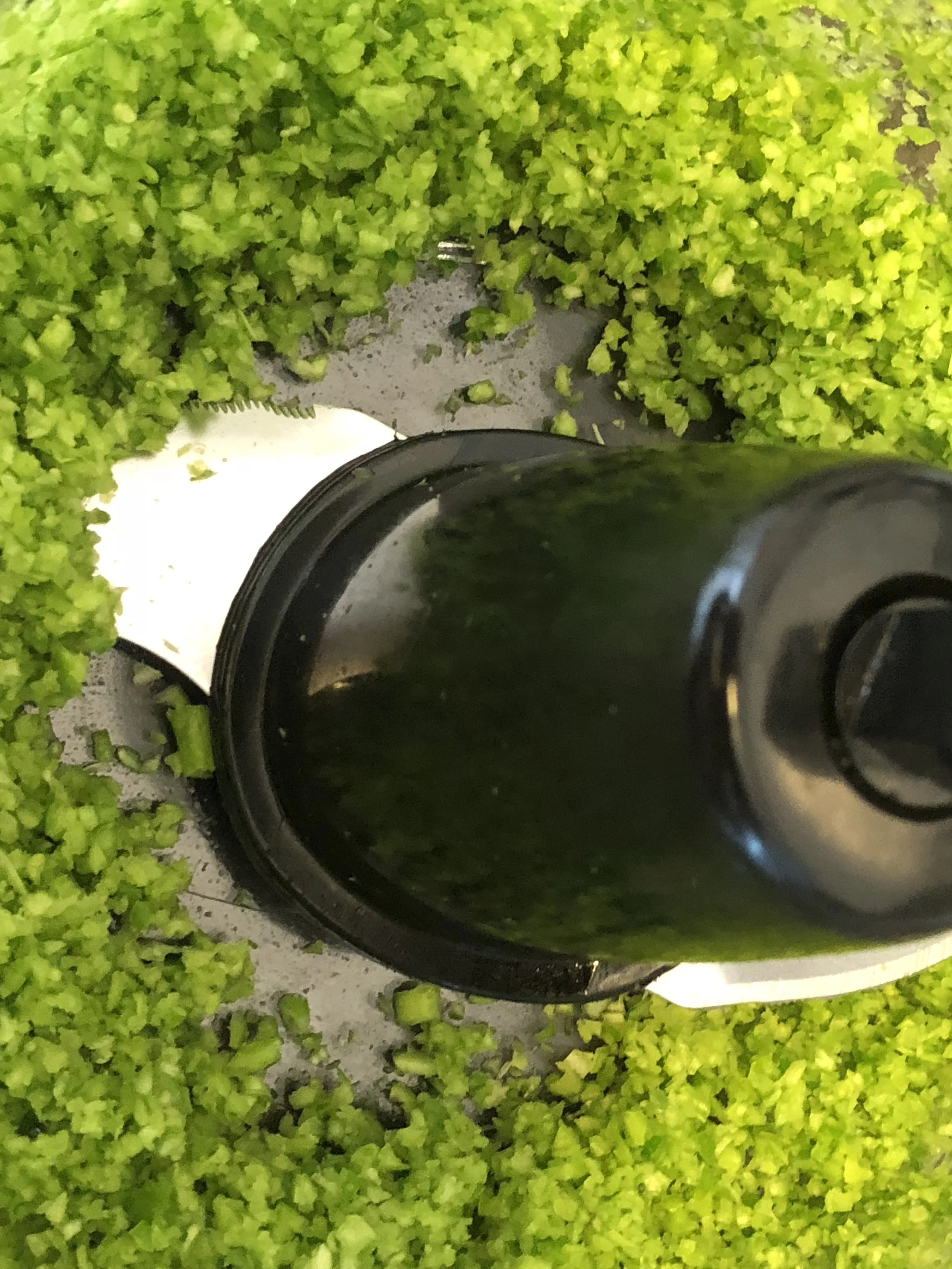 Finely puree the scapes in your food processor until they're green powder. Put in their own medium bowl