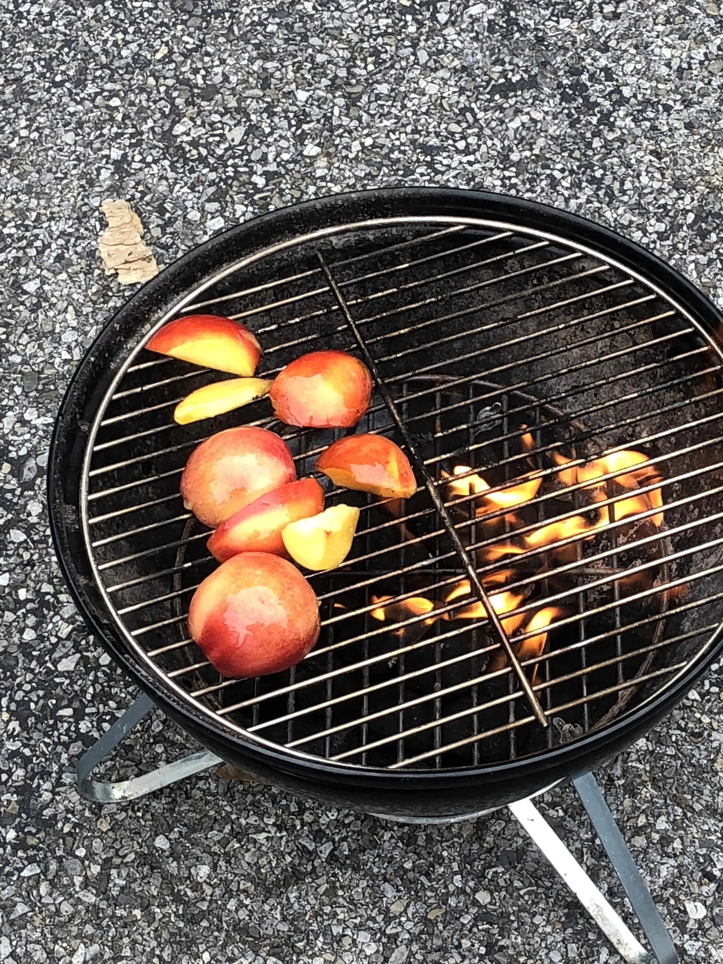 Place nectarines - side down, on the top of the medium hot grill and then add the salmon. Remove when grill marks are apparent. Let the nectarines cool while the salmon cooks thoroughly. As a general guideline, salmon should turned once to cook on e…