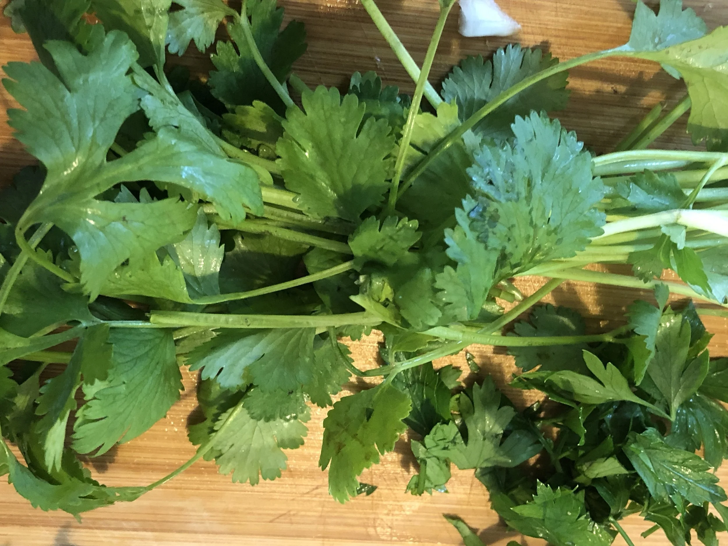 While the chicken cooks dice your herbs and your vegetables.Cilantro and parsley (Above)Carrot Coins (left