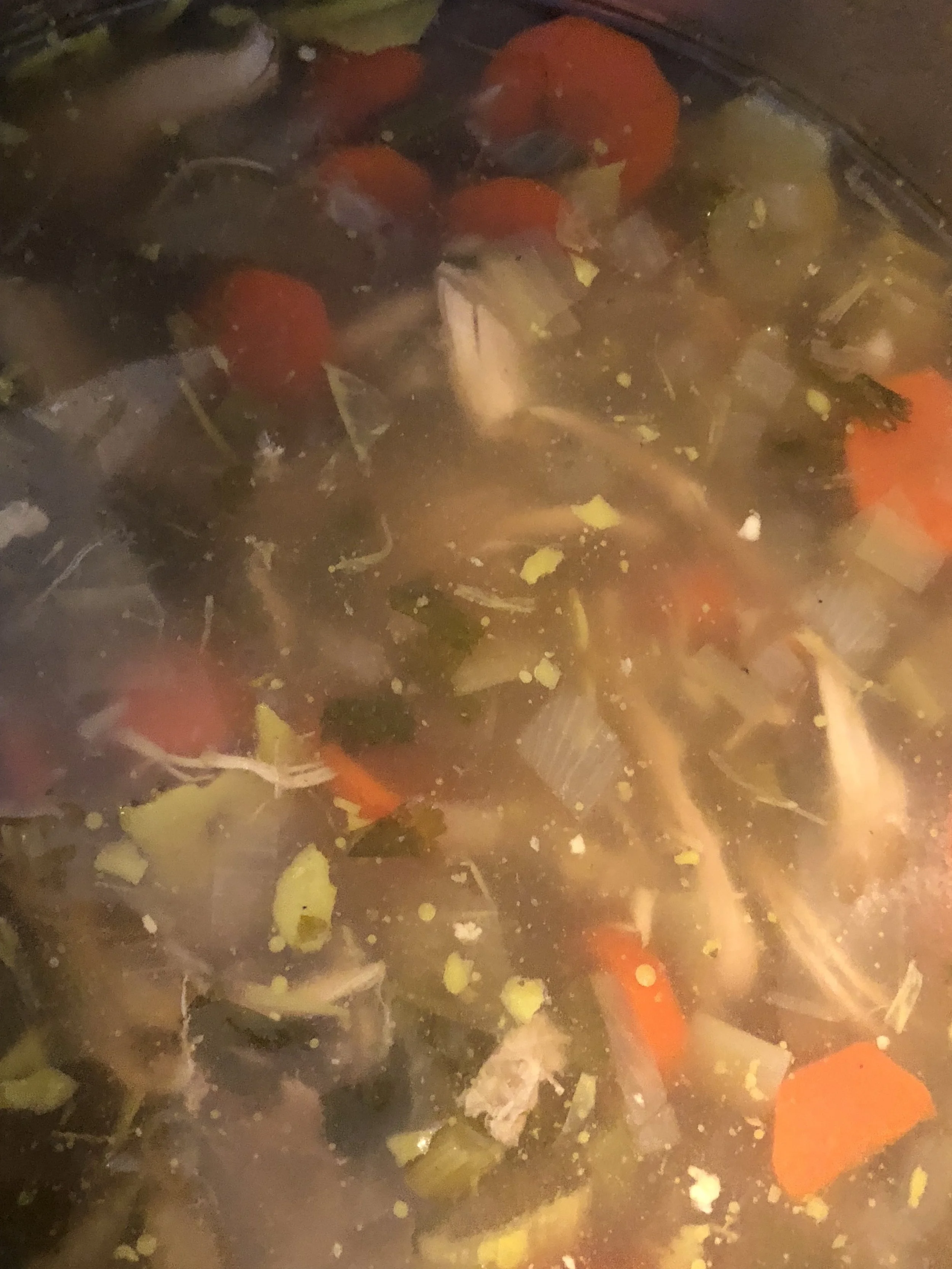 Pictured above is what the soup looked like sans fan