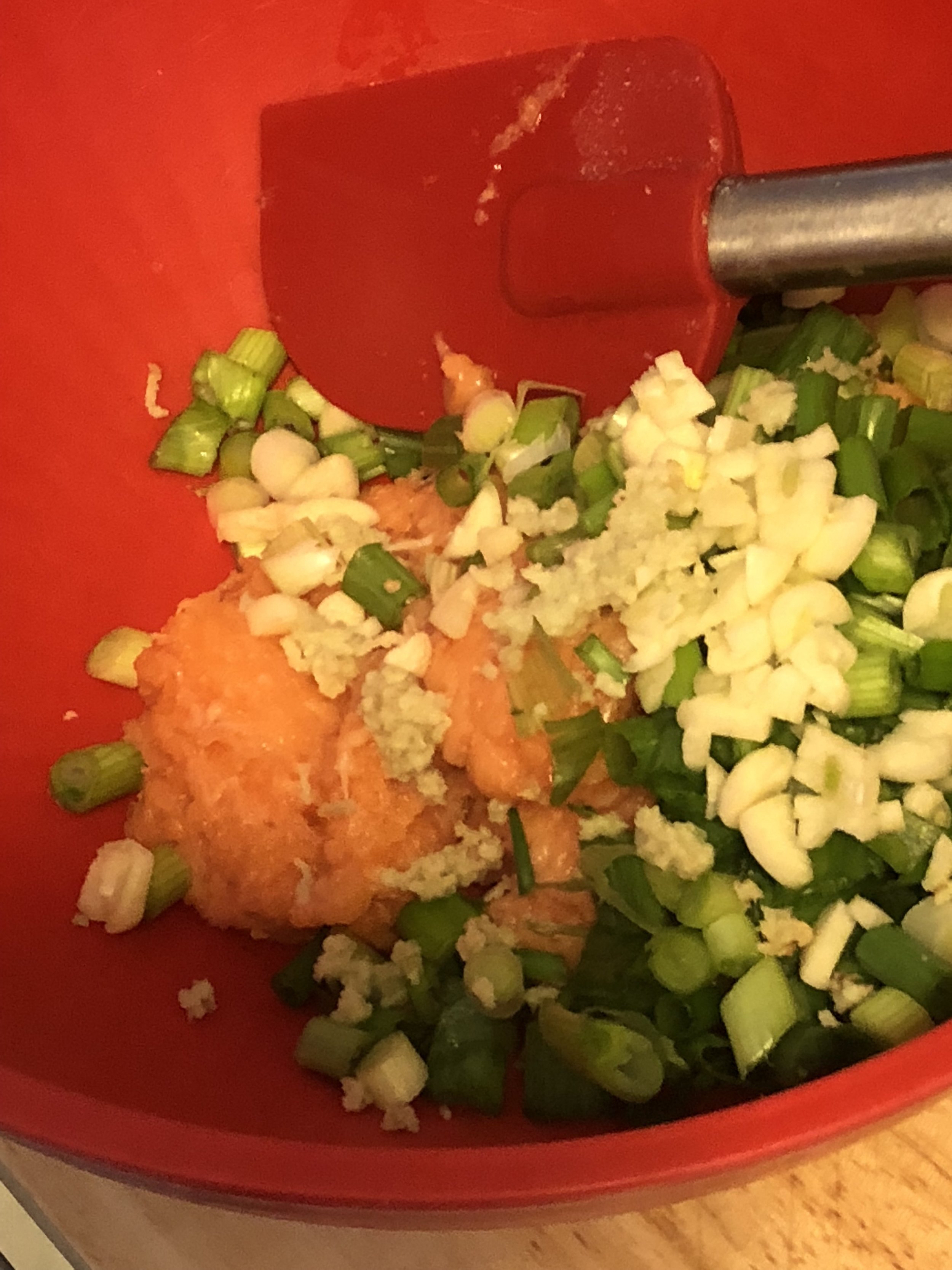 Add the salmon, spices, ginger, garlic , panko and scallions to a bowl.
