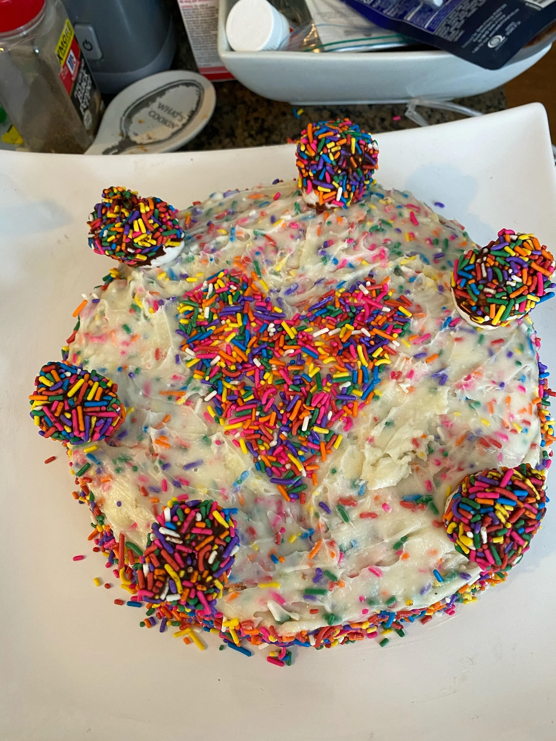If Us8’g, place your chocolate sprinkle covered marshmellows on your cake.