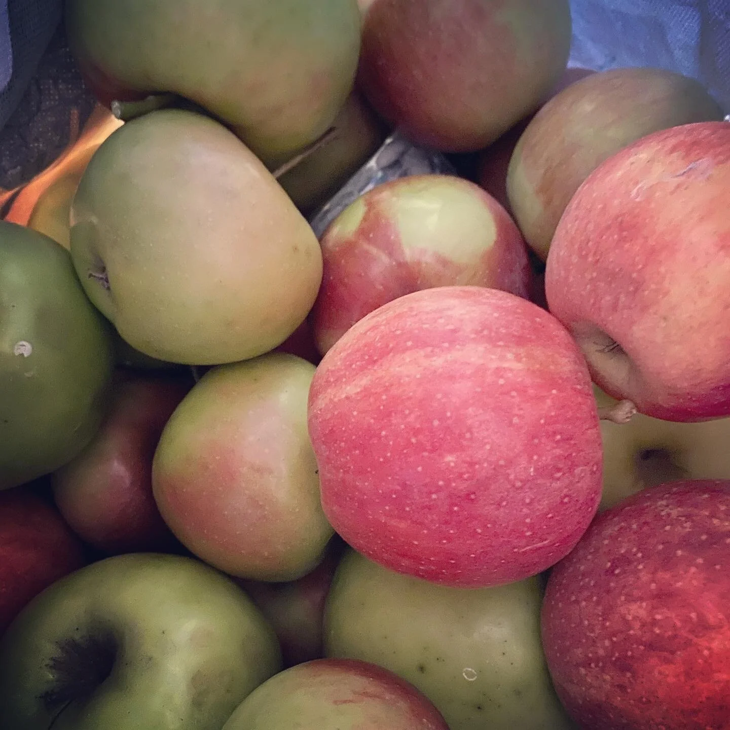 Optional- go to your loCal apple orchard and Have your family’s children pick copious quantities of apples…