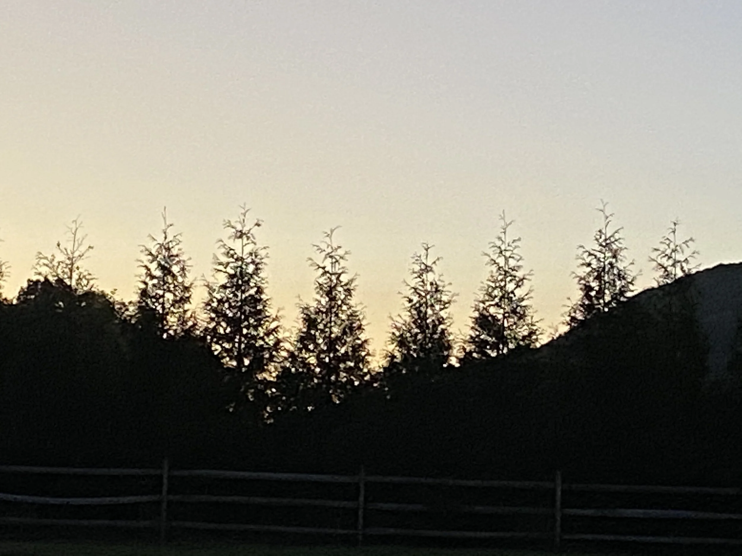 Spicy oven baked cod