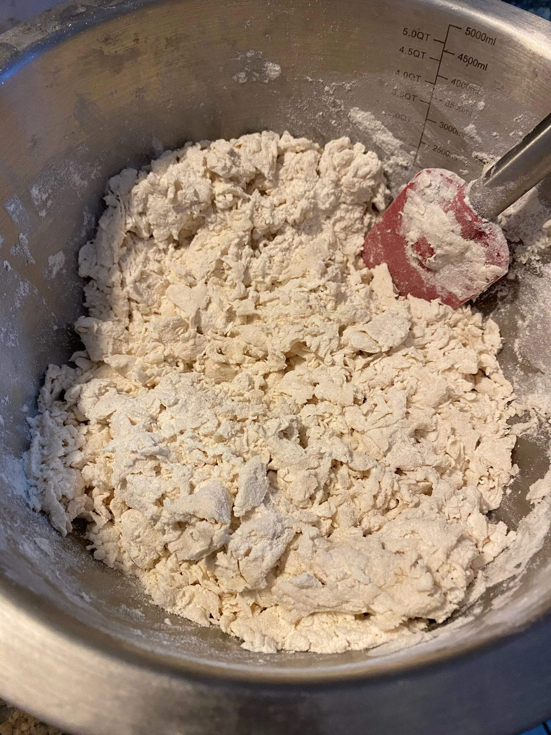 Add the rest of the lukewarm water and mix until what the NY Times people call “Shaggy”. I think it’s a baking term and not a typo. so mix until it’s as “shaggy” as what’s in the photo. Mix with your hands until it all sticks together and knead for …