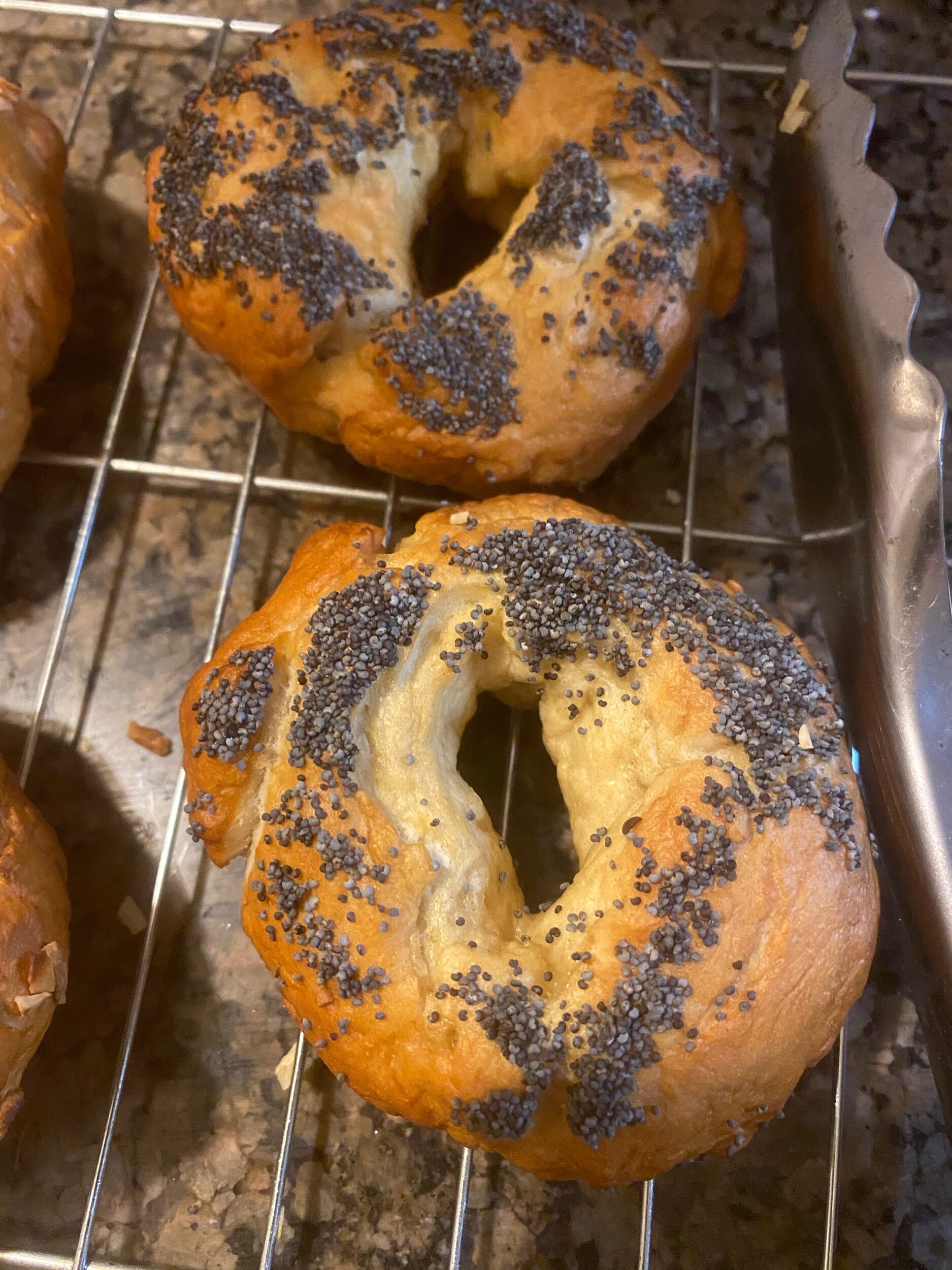 Bagels from Scratch