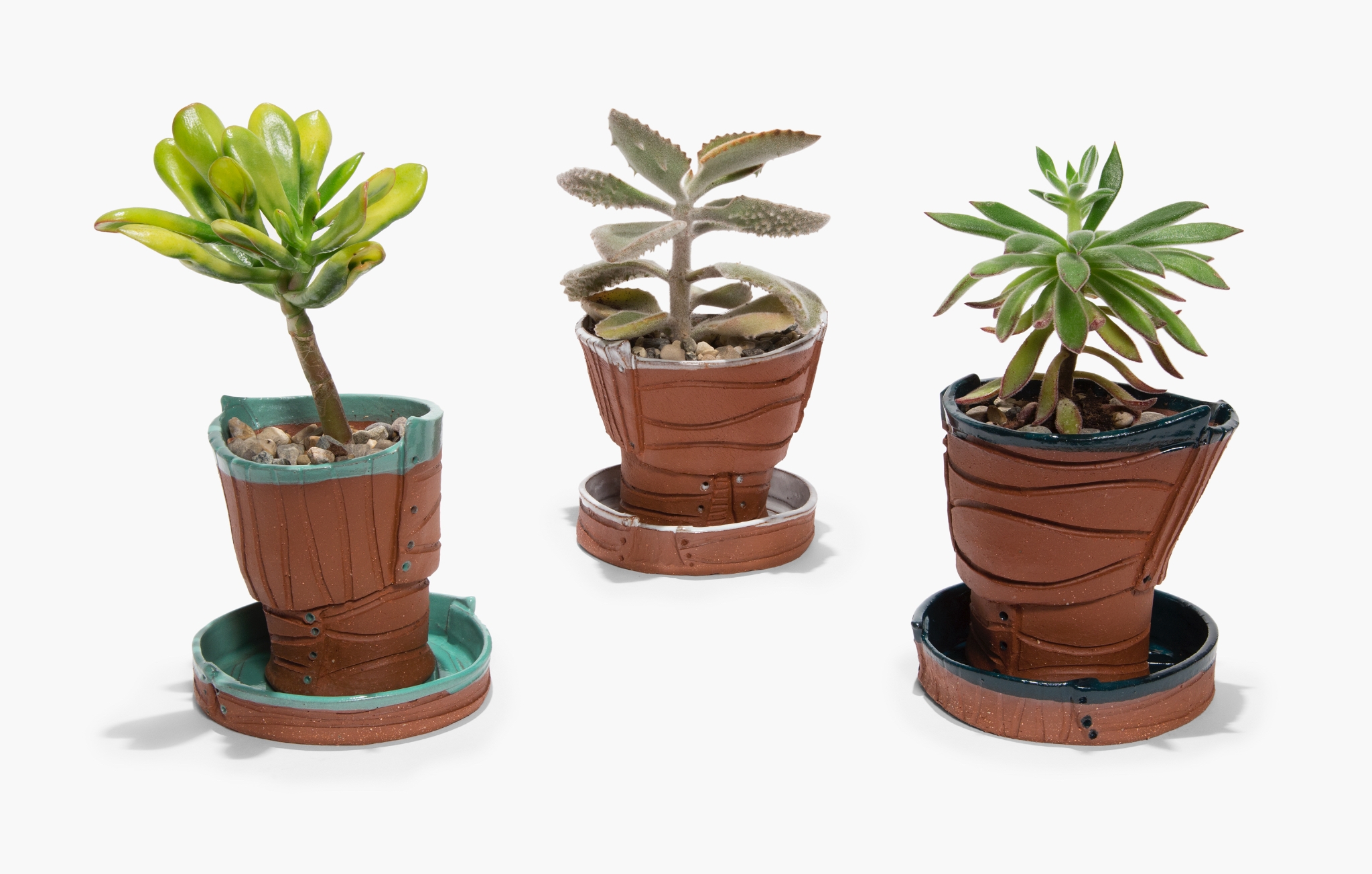 Terra Cotta Succulent Pots
