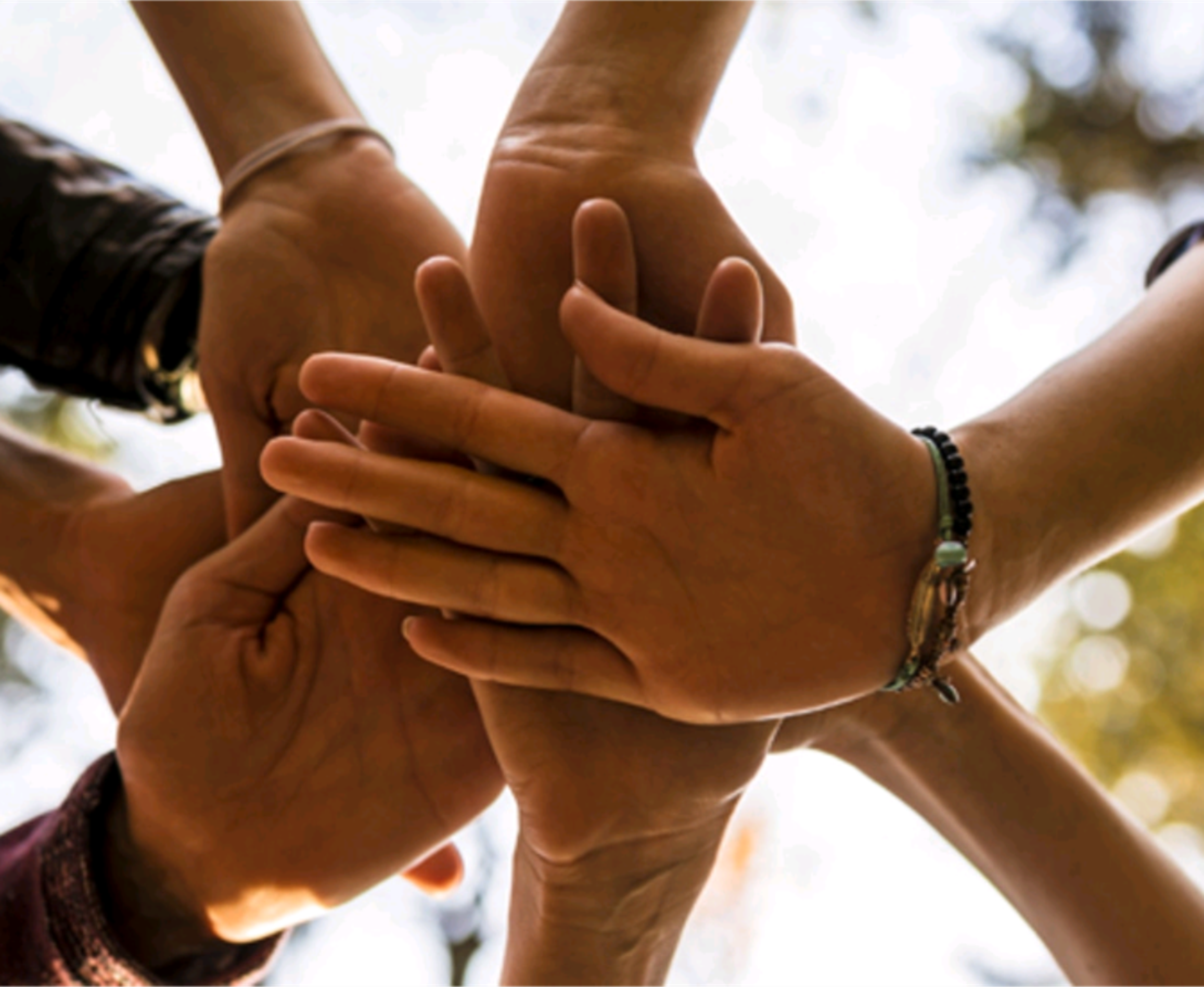 Hands together.png