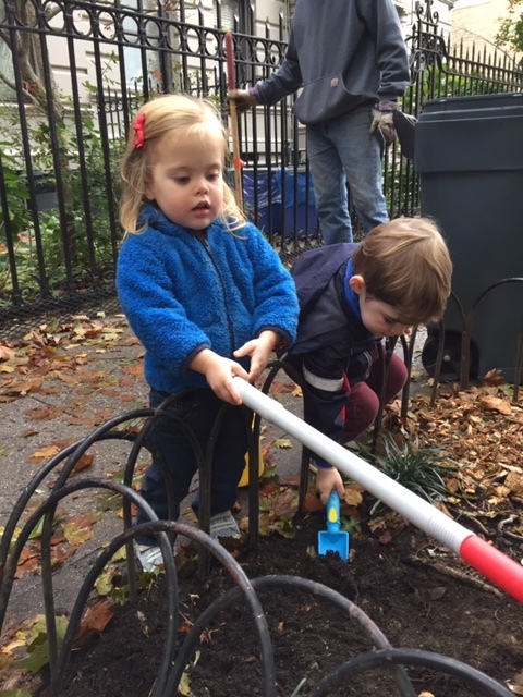 Neighborhood Tree Care