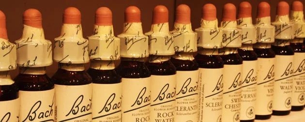 An Old Approach for A New Year: Bach Flower Essences
