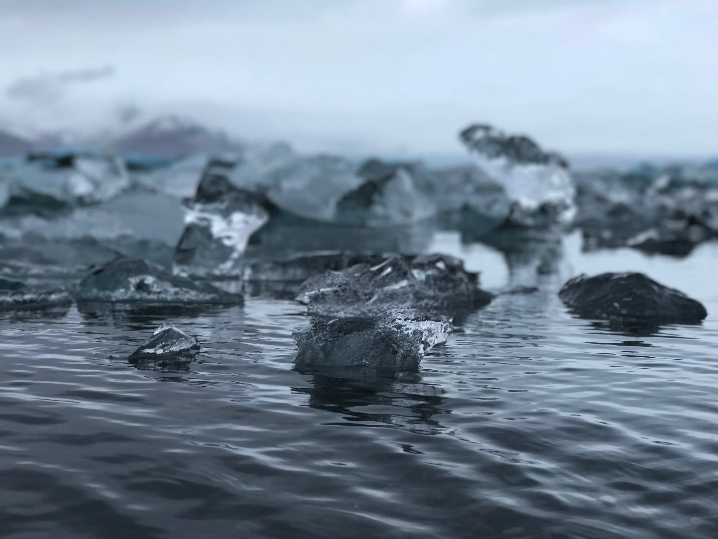 Header.jpg