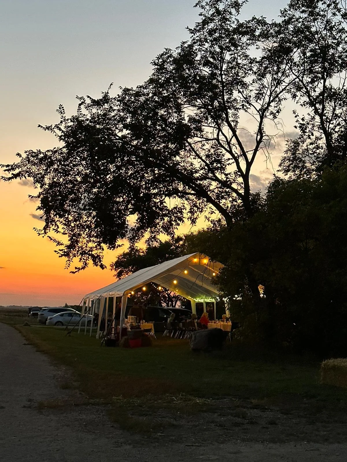 Farm to Table Farm Dinner 2025 -NEW DATE