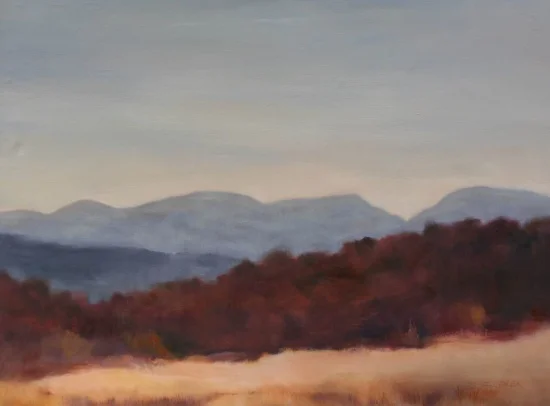 Plum 20 x 30", oil on canvas