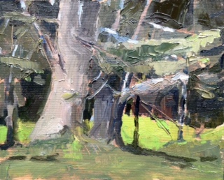 White Pines 6 x 8, oil on panel.