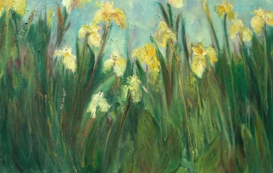 Yellow Iris SOLD