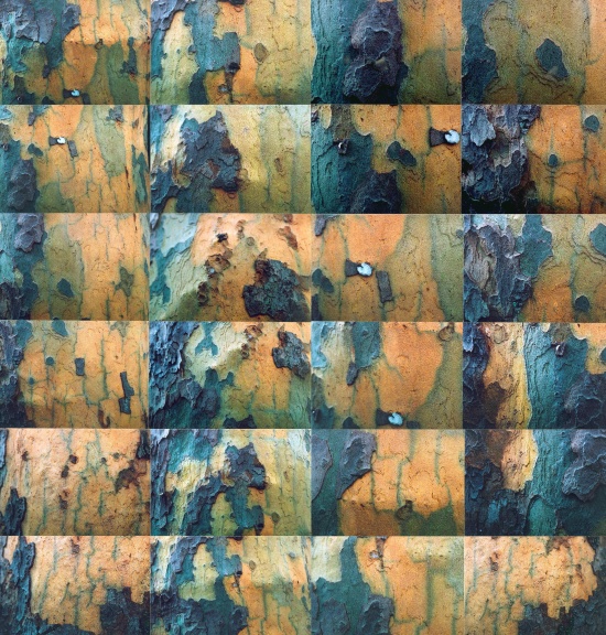 Orange Bark 32" x 36" on sintra board