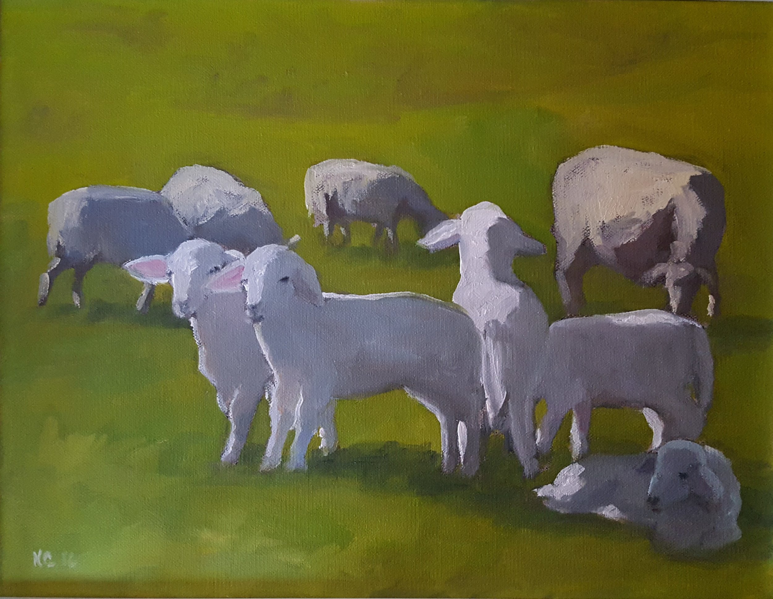 "Agnelli e Pecore, lambs and sheep" 13 x 16, oil on linen
