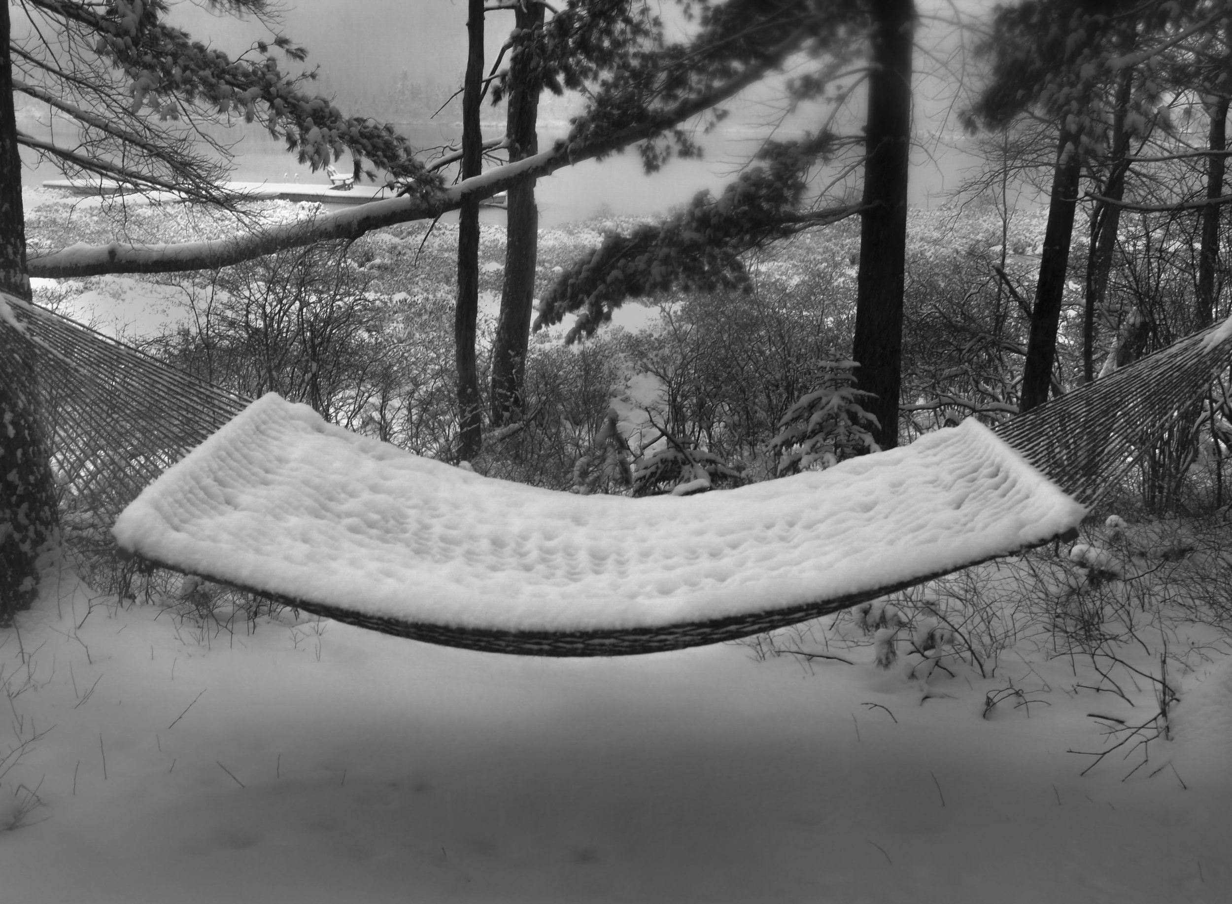 "Woodloch Winter Hammock" 40 x 20, photo on metal