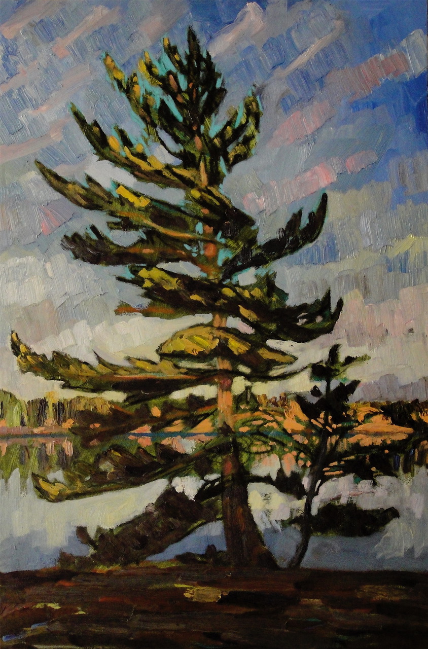 Ann’s Young Pine, 36 x 24, oil on canvas