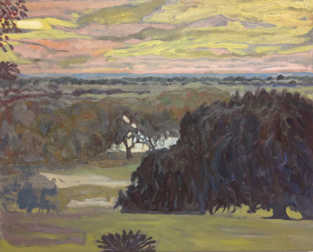 evening over the marsh.jpeg