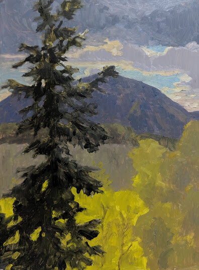 View of Craigendarrach, 12 x 9, oil on yupo 