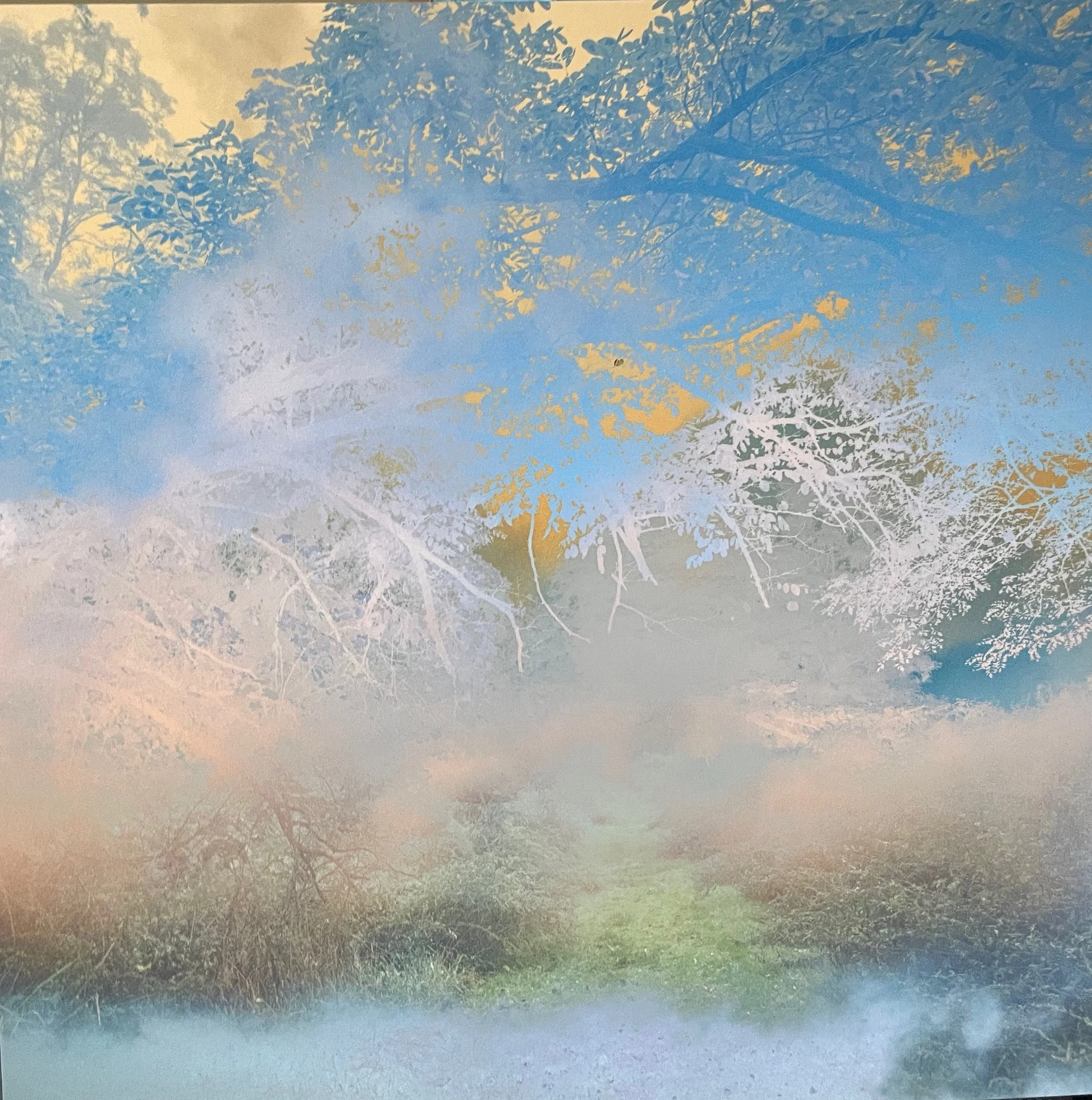 Dawn Watson, Halcyon Sky, 20 x 20, archival aluminum print