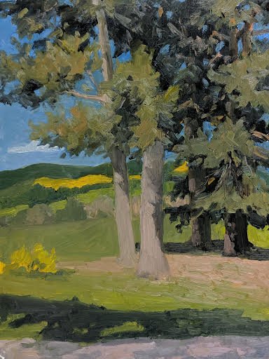 Nancy Campbell, Pines at Glen Tanar, 17 x 14 oil on yupo paper