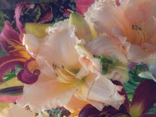 Plush Lilies, 22 x 18", digital photo