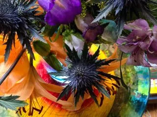 Beth Baylin, Prickly Burst w Colors, 22 x 18, digital photo