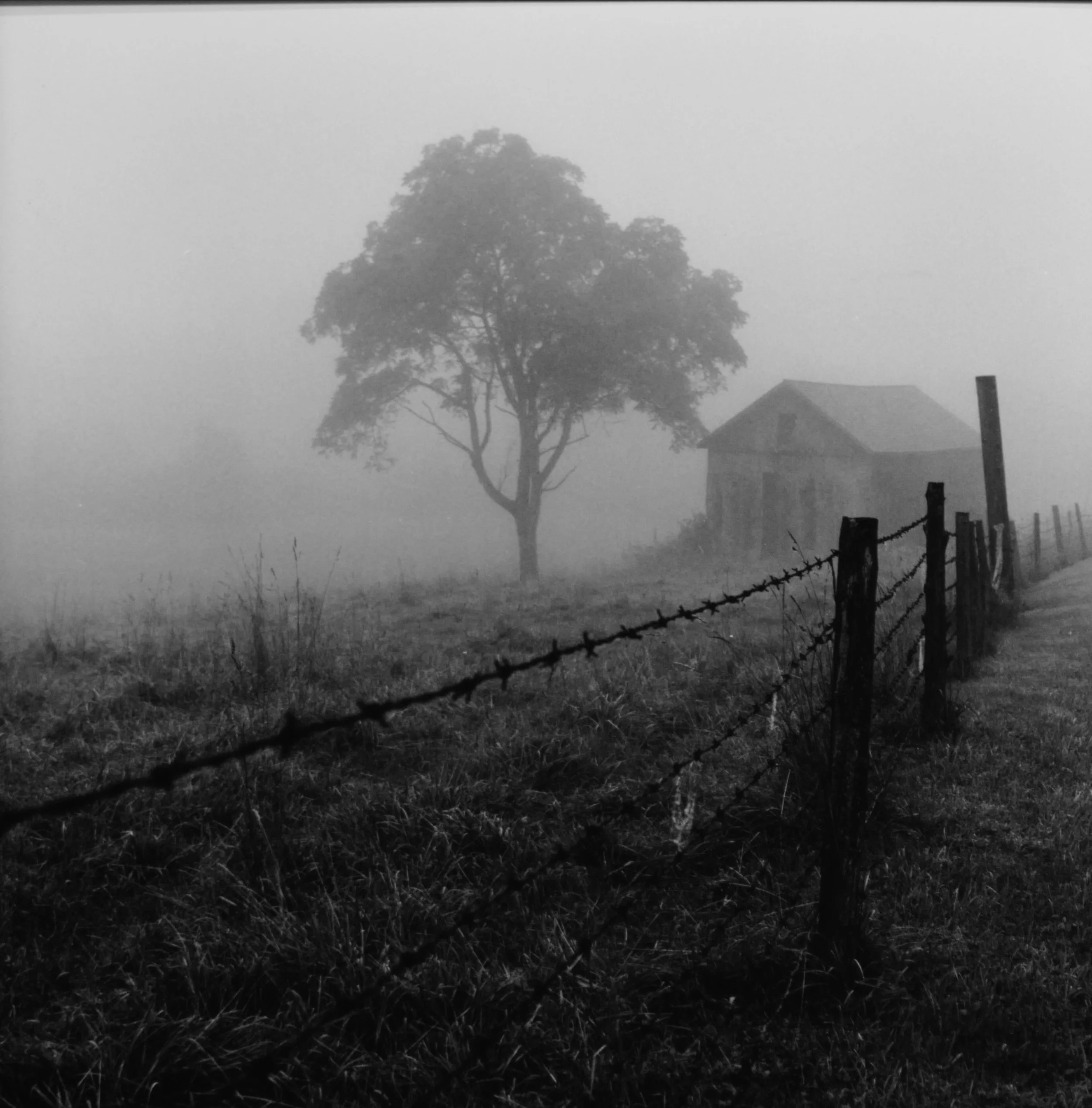 Sy Harper's Field, Bevins New Jersey, 1991, 16x20, silver gelatin print