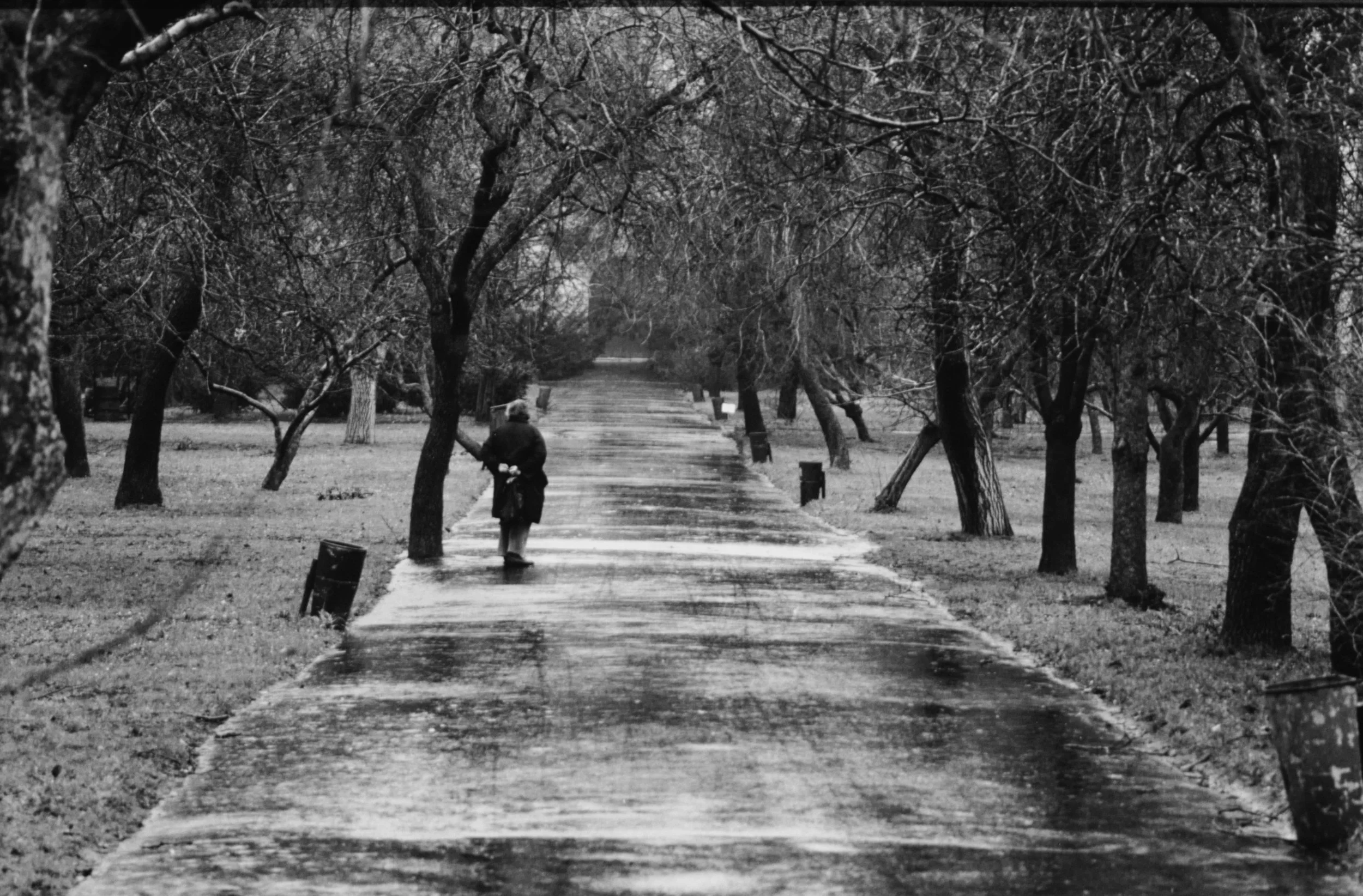 Man in the Park, Budapest, 1981, 16x20, silver gelatin print