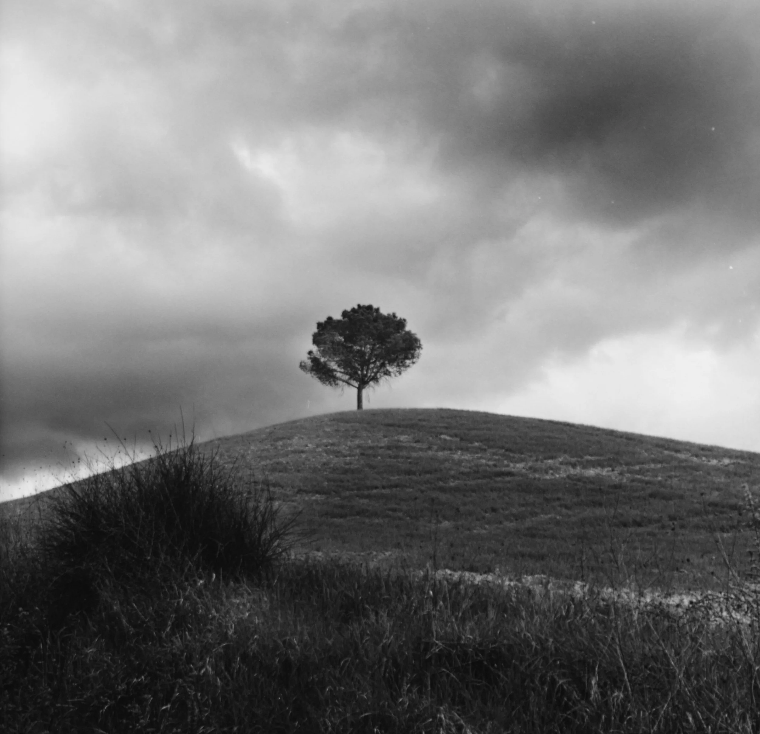 Castellina in Chianti 2001, 16x20, silver gelatin print
