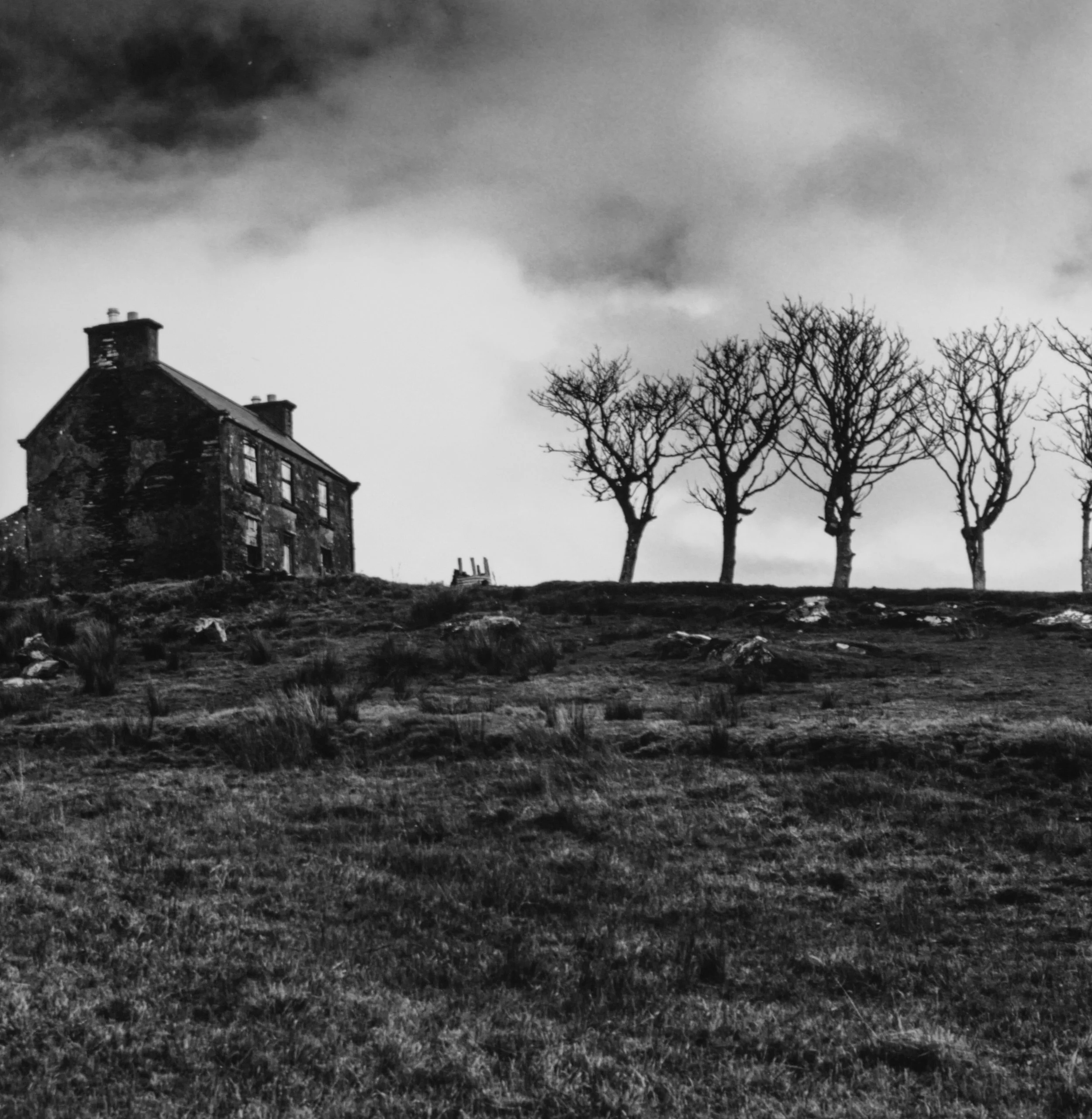 House with 4.5 trees, Donegal, Ireland, 16x20, Silver Gelatin Print