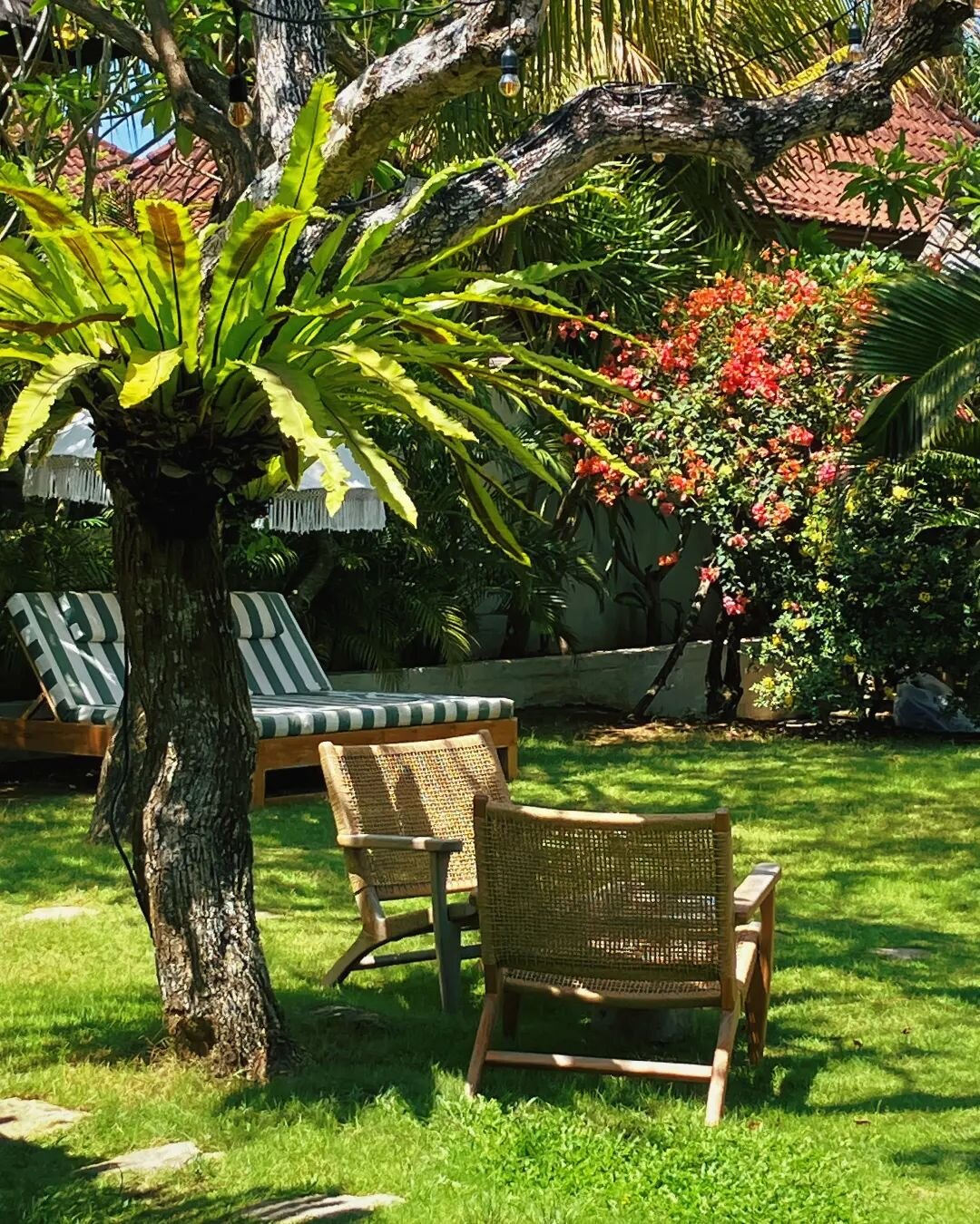 Nee garden set up 🌴
Best spot for breakfast or dinner?
You let us know 😊

#mulemalu #staytropical #garden #bali