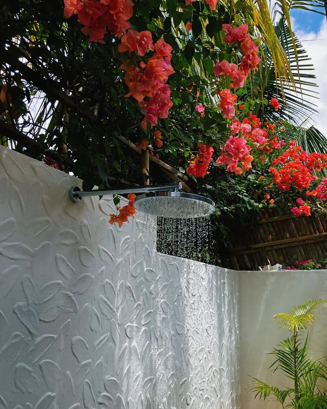 Shower outdoor 🌴
All our rooms feature outdoors shower
 (double in King 🤩) with our trademark leaves pattern on the wall. 💕

#tropicalstay #staytropical #outdoorshower #flowers #nature