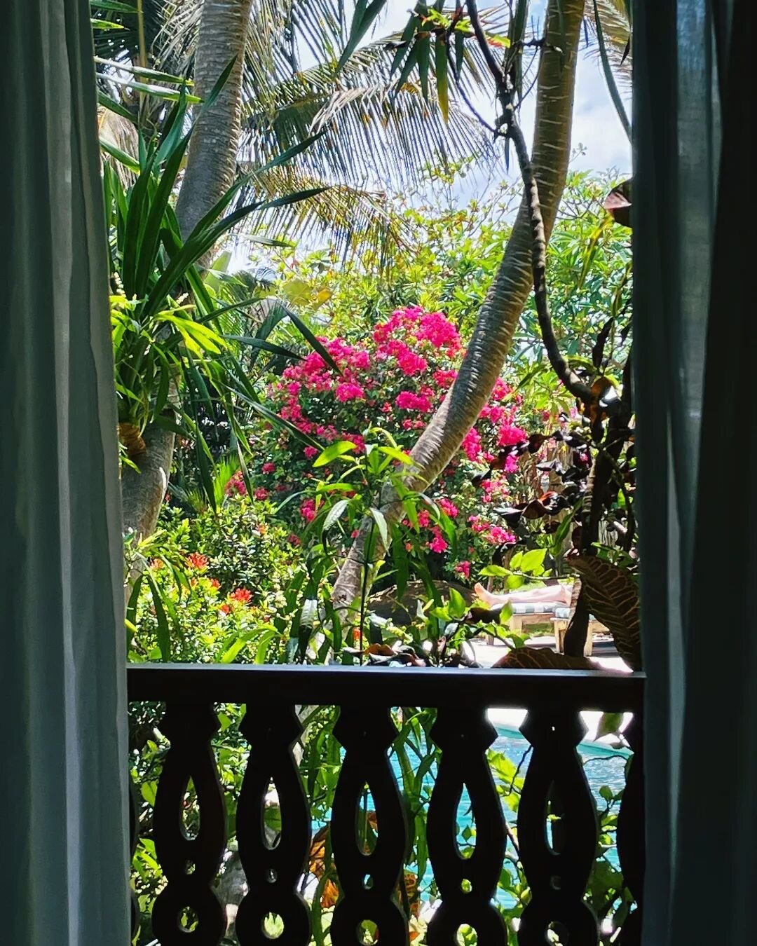 Room view 😍
All Queen and King rooms feature a private patio where to enjoy breakfast or a moring coffee ☕️ with a beautiful view over our salty pool 🏖 and tropical garden 🌴. 

#mulemalu #staytropical #bingin