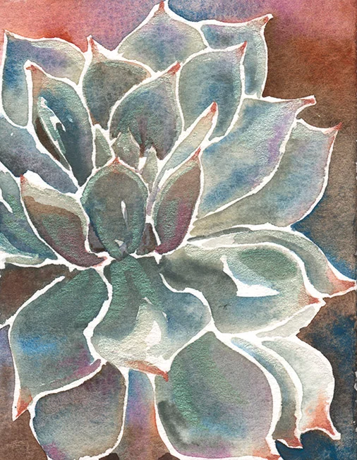 Succulent Color Study