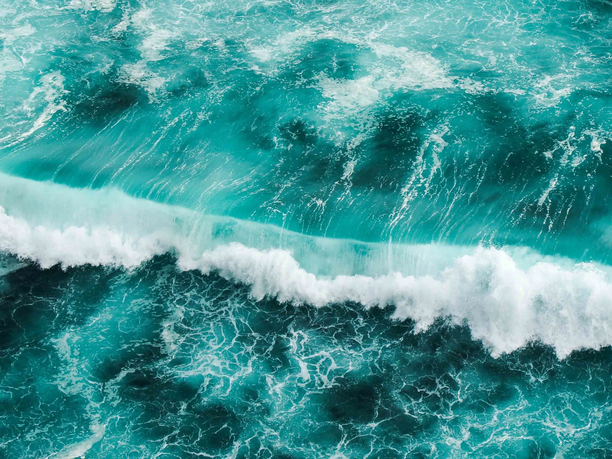 books-about-oceans-book-list-4-3.jpg