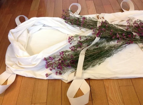 Shrouds Seize the Limelight