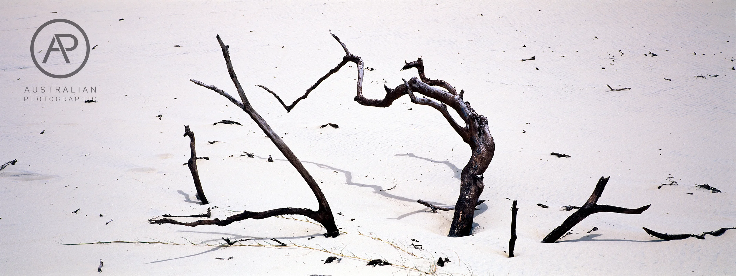 FUJIFILM VELVIA 50 15 AP.jpg