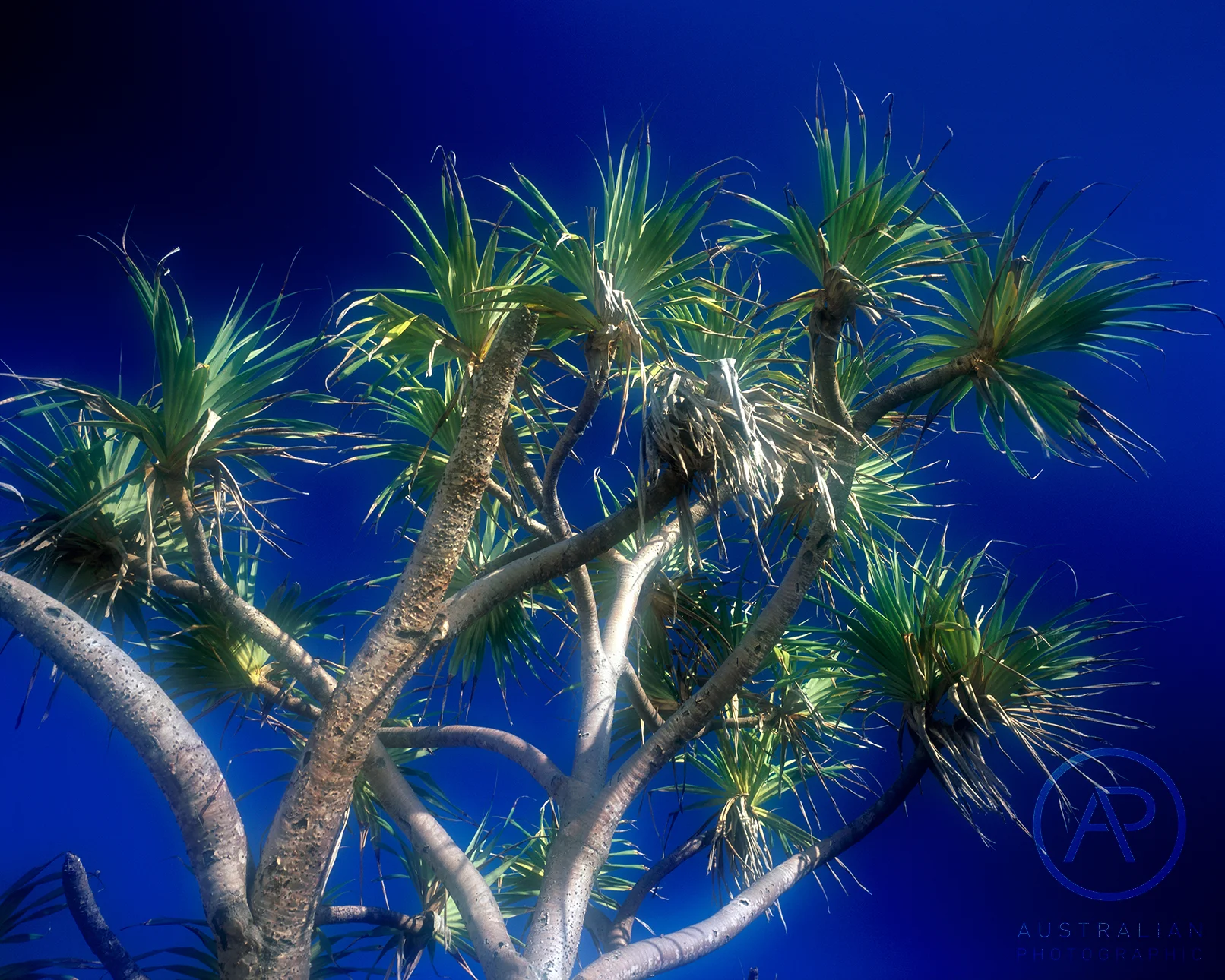 FUJIFILM VELVIA 100 26 AP.jpg