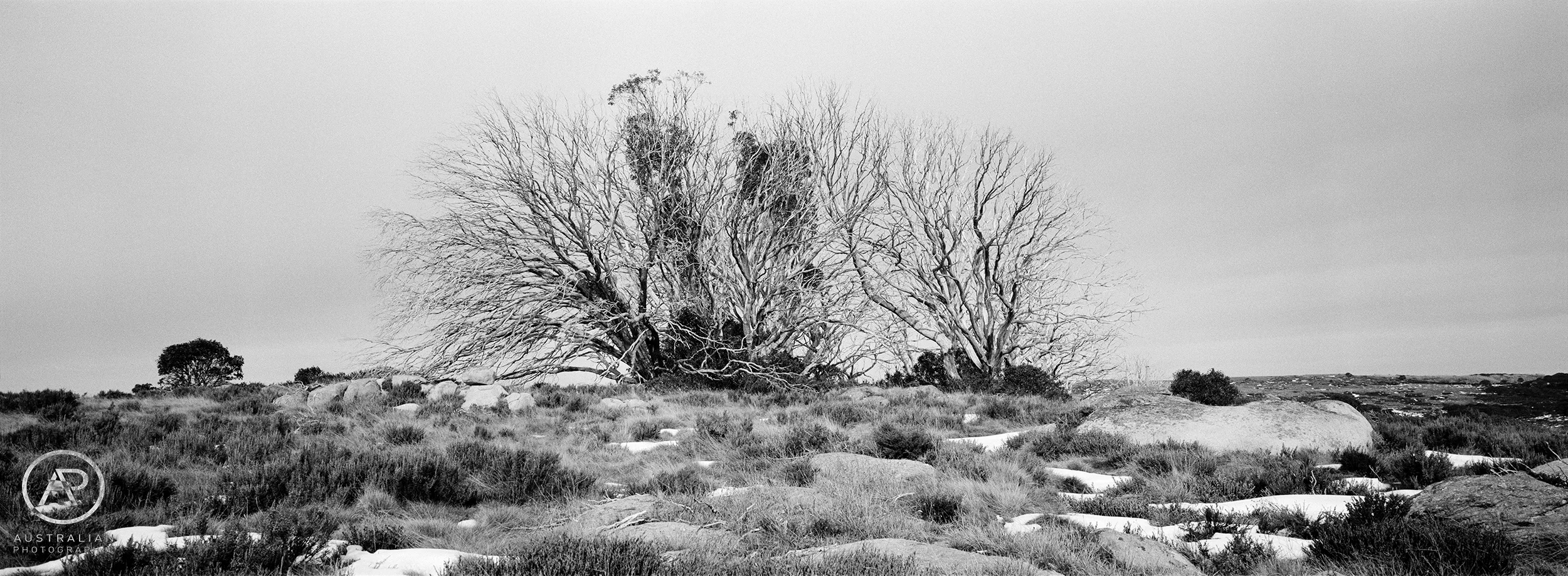 ADOX CHS 100 01 AP.jpg